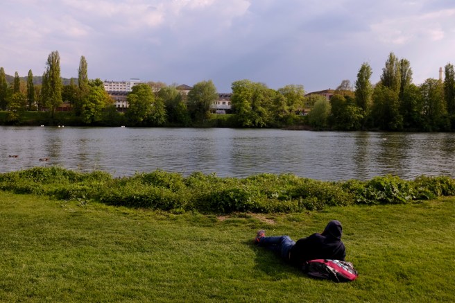 Neckarwiese